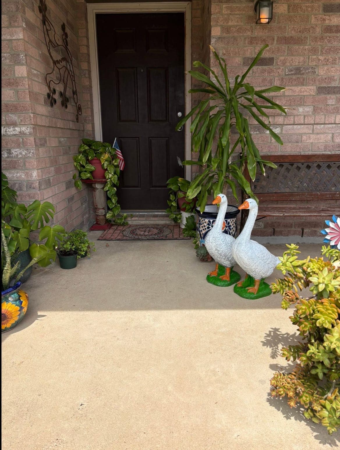 Five geese showing the range of custom paint options